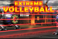 Extreme Volleyball img