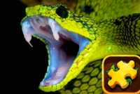 Snake Puzzle Challenge img